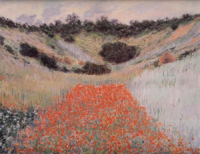 Claude Monet Poppy Field in a Hollow Near Giverny oil painting image